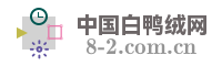 中国白鸭绒网